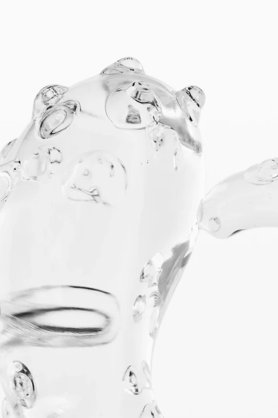 Marine-Ring Crystal Zalio Marine-Ring Crystal Zalio