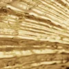 Vergoldeter Muschelring Zalio Vergoldeter Muschelring Zalio